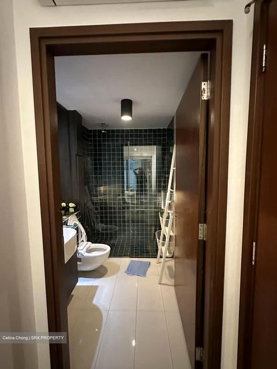 Alexis (D3), Apartment #608564871